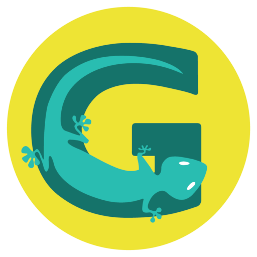 GeckoWatch - Costa Rica CCTV Systems for Home & Office - Surveillance Systems